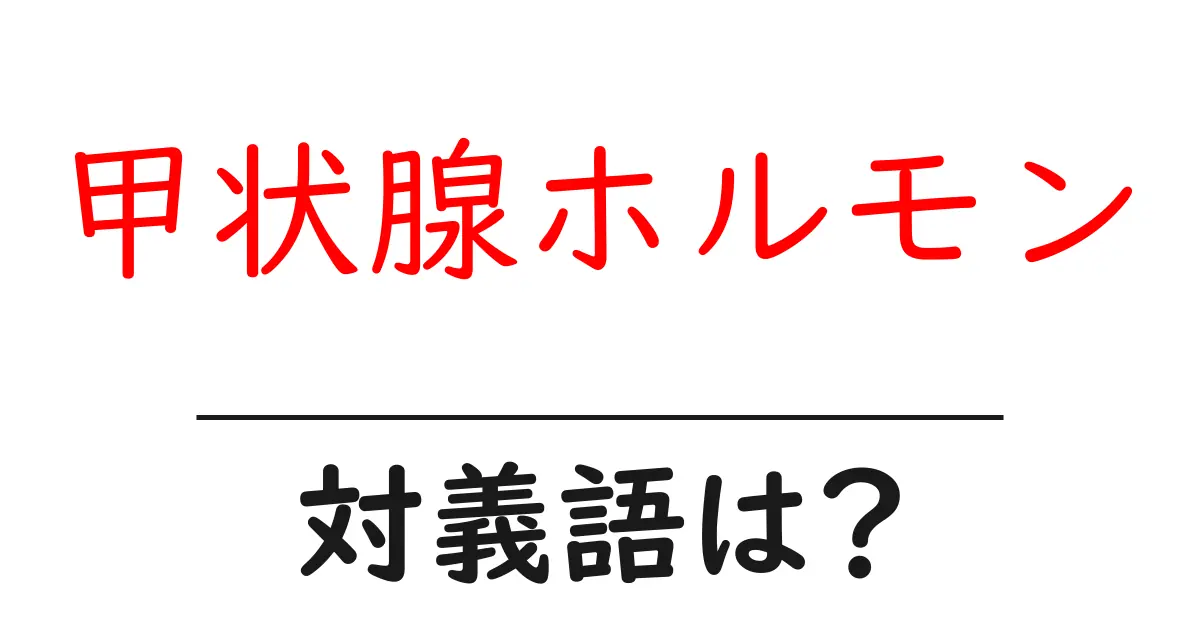 甲状腺ホルモンの対義語・反対語を使用例を交えて分かりやすく解説!
