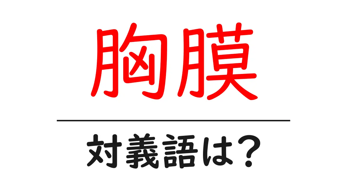 胸膜の対義語・反対語を使用例を交えて分かりやすく解説!
