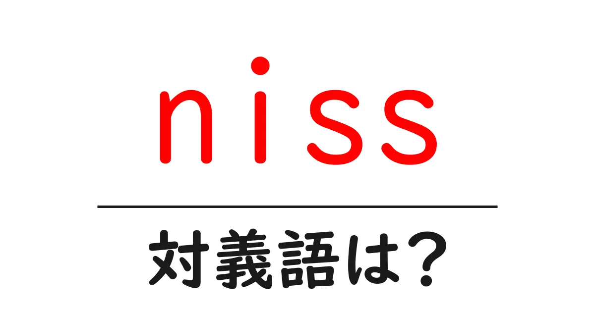 nissの対義語・反対語を使用例を交えて分かりやすく解説!