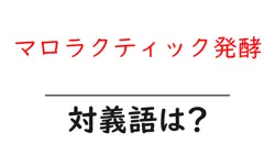 マロラクティック発酵の対義語・反対語を使用例を交えて分かりやすく解説！