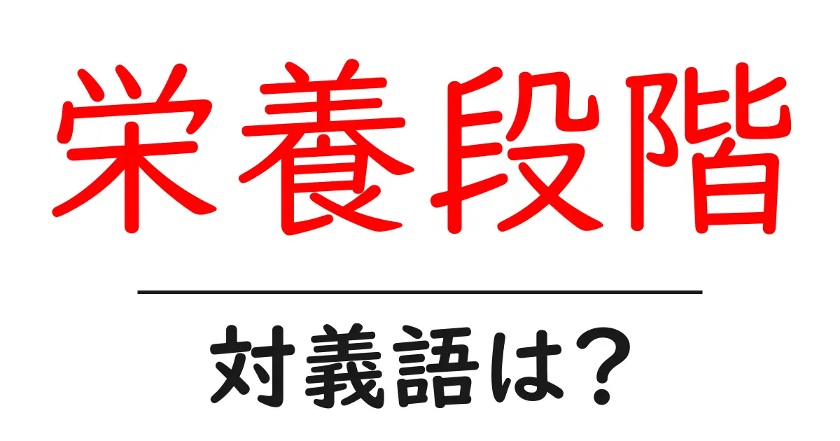 栄養段階の対義語・反対語を使用例を交えて分かりやすく解説!