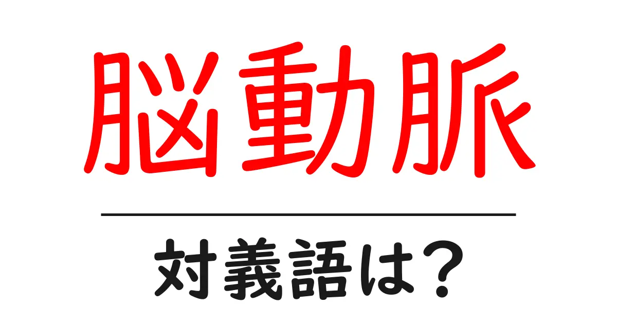 脳動脈の対義語・反対語を使用例を交えて分かりやすく解説！