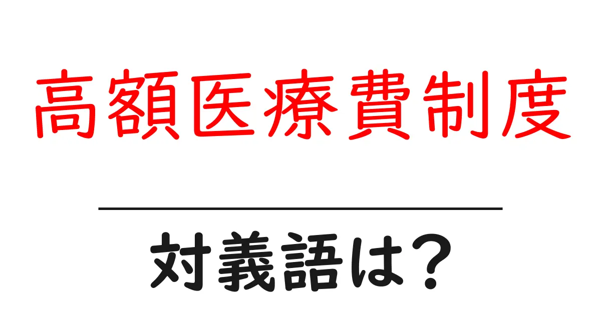 高額医療費制度の対義語・反対語を使用例を交えて分かりやすく解説!
