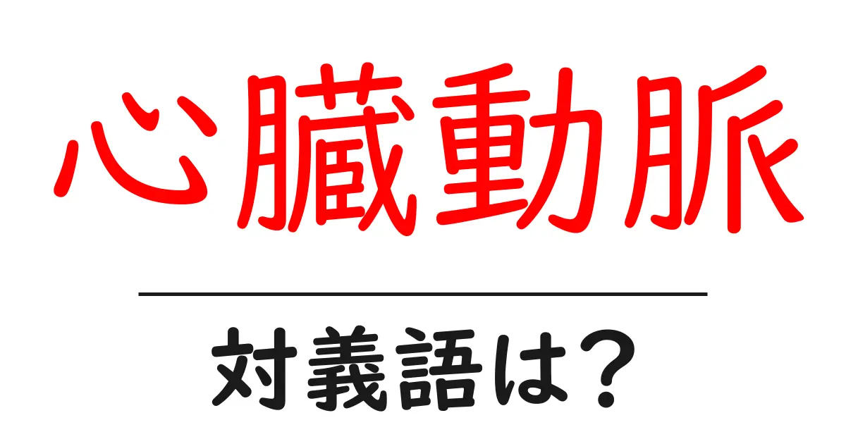 心臓動脈の対義語・反対語を使用例を交えて分かりやすく解説!