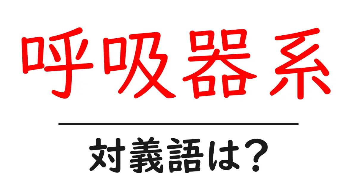 呼吸器系の対義語・反対語を使用例を交えて分かりやすく解説!