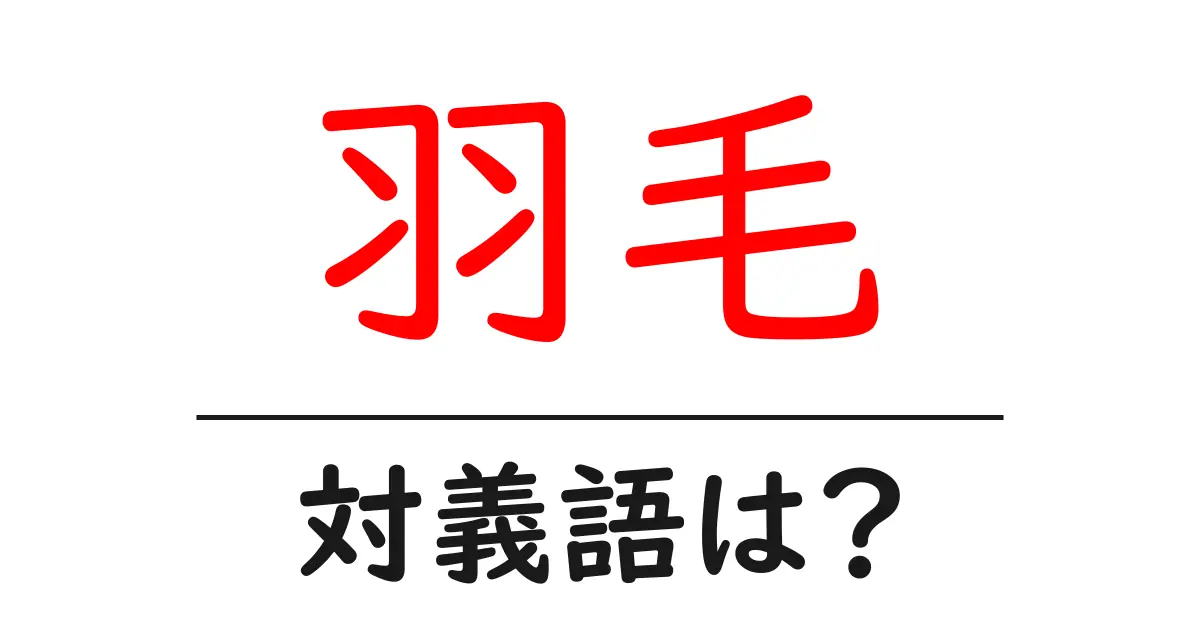 羽毛の対義語・反対語を使用例を交えて分かりやすく解説！