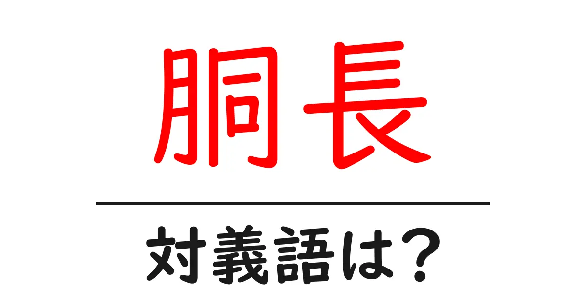 胴長の対義語・反対語を使用例を交えて分かりやすく解説!