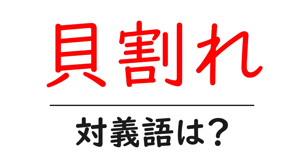 貝割れの対義語・反対語を使用例を交えて分かりやすく解説!