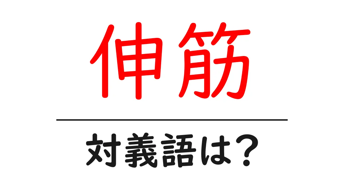 伸筋の対義語・反対語を使用例を交えて分かりやすく解説!
