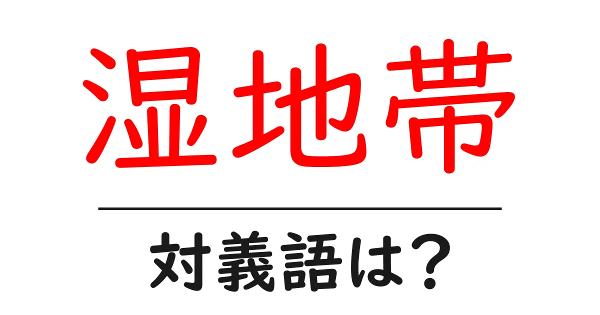 湿地帯の対義語・反対語を使用例を交えて分かりやすく解説!