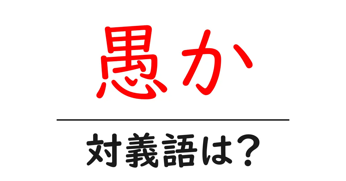 愚かの対義語・反対語を使用例を交えて分かりやすく解説!