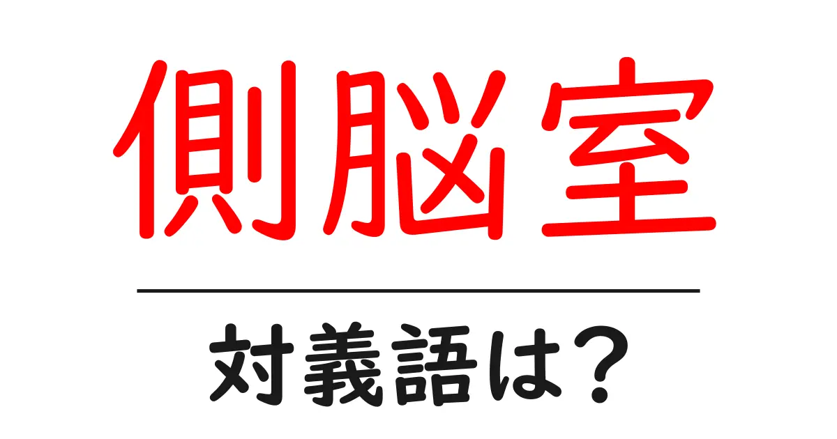 側脳室の対義語・反対語を使用例を交えて分かりやすく解説!