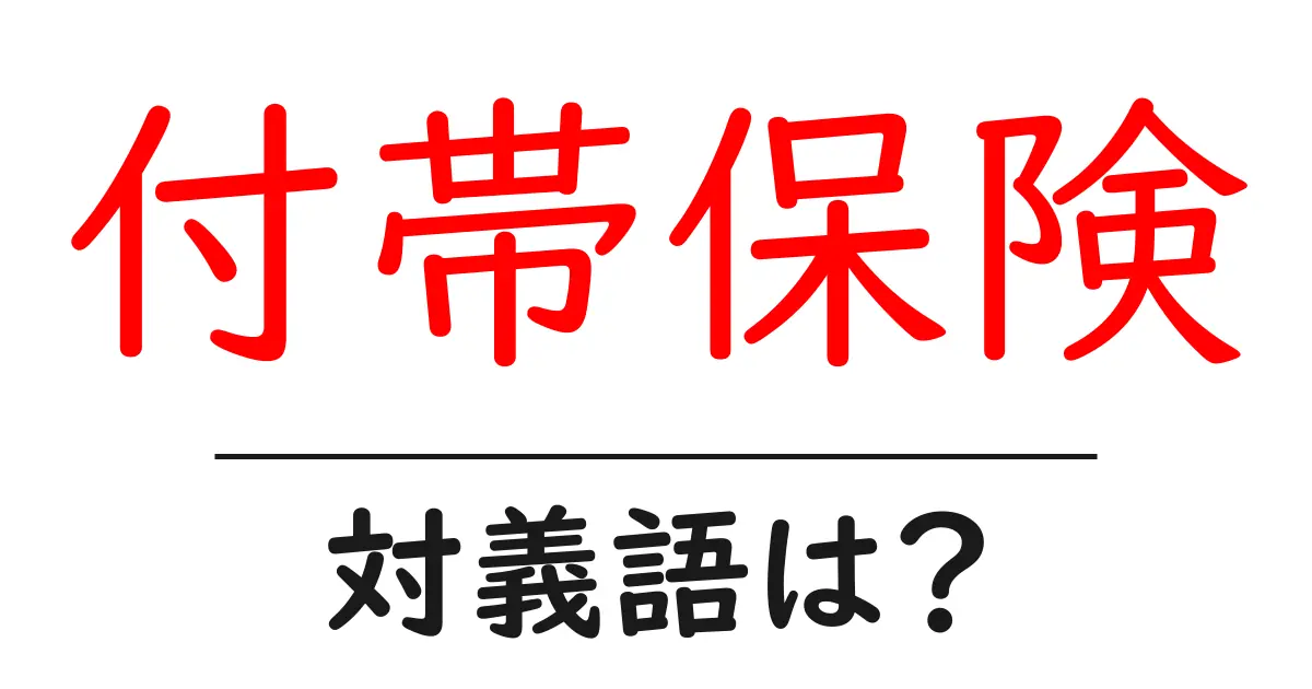 付帯保険の対義語・反対語を使用例を交えて分かりやすく解説!