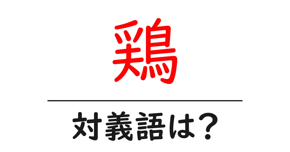 鶏の対義語・反対語を使用例を交えて分かりやすく解説!