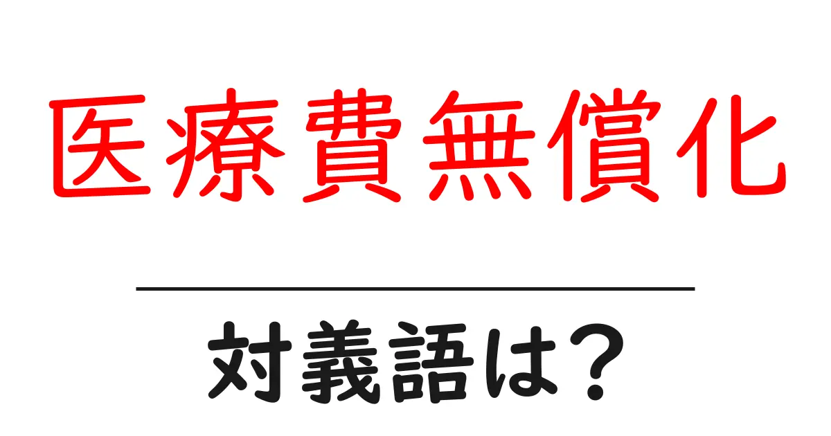 医療費無償化の対義語・反対語を使用例を交えて分かりやすく解説!
