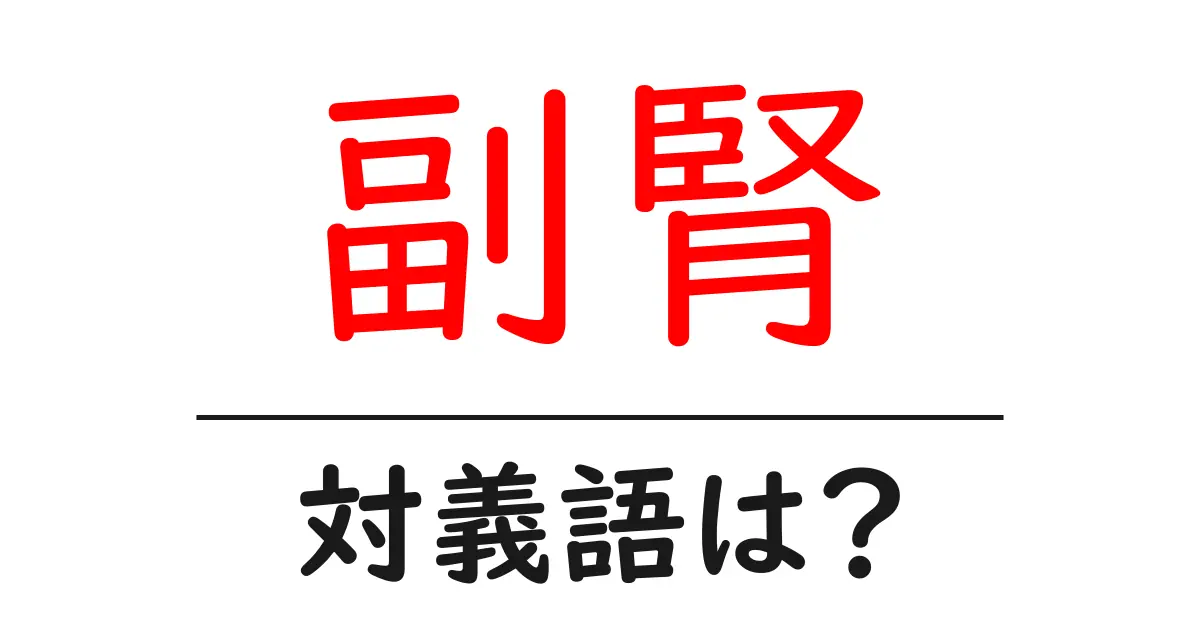 副腎の対義語・反対語を使用例を交えて分かりやすく解説!