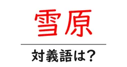 雪原の対義語・反対語を使用例を交えて分かりやすく解説！