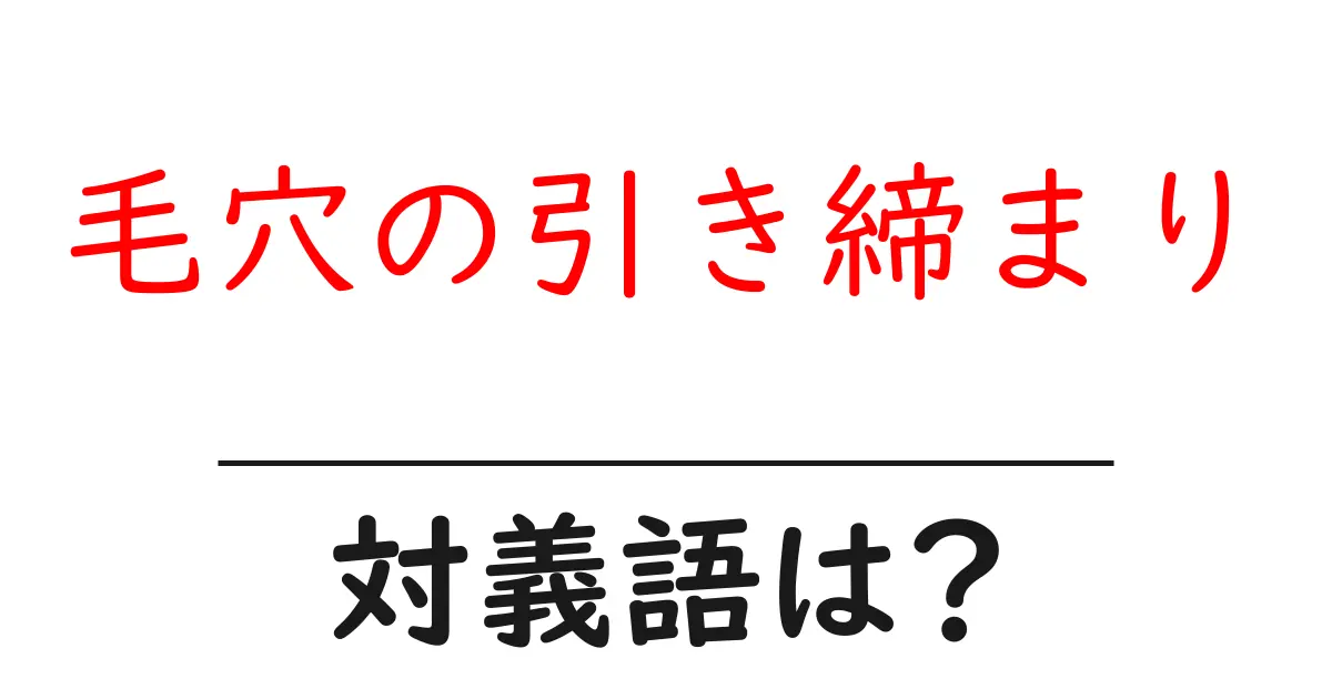 毛穴の引き締まりの対義語・反対語を使用例を交えて分かりやすく解説!