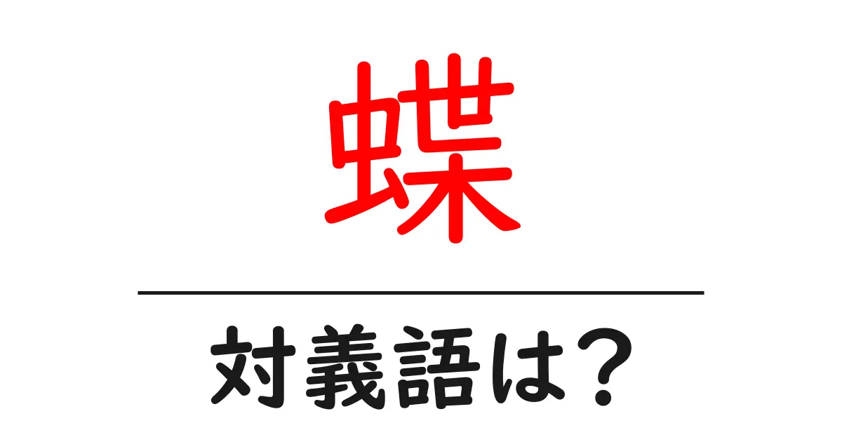 蝶の対義語・反対語を使用例を交えて分かりやすく解説!