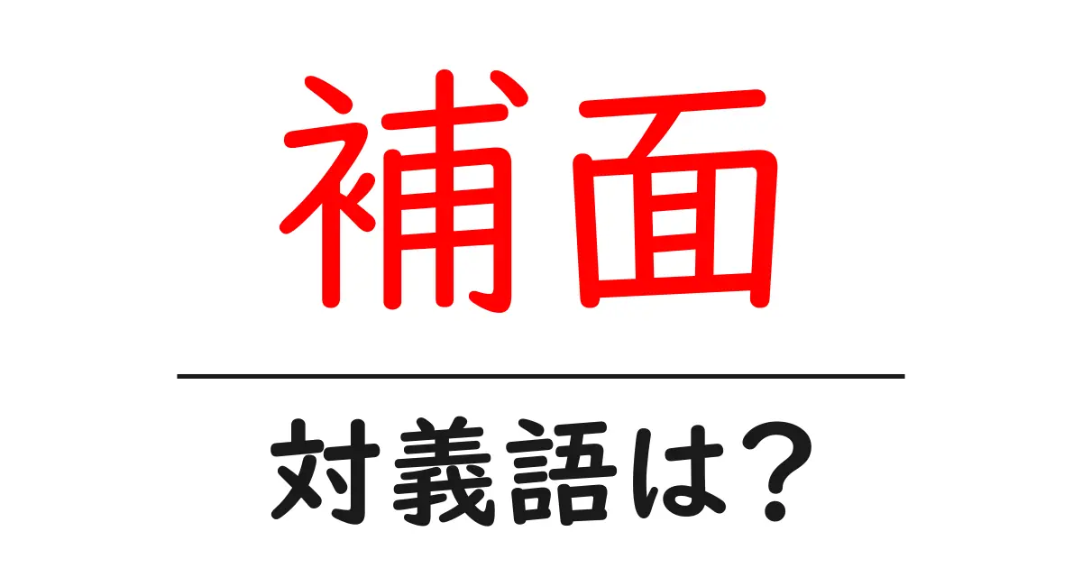 補面の対義語・反対語を使用例を交えて分かりやすく解説!