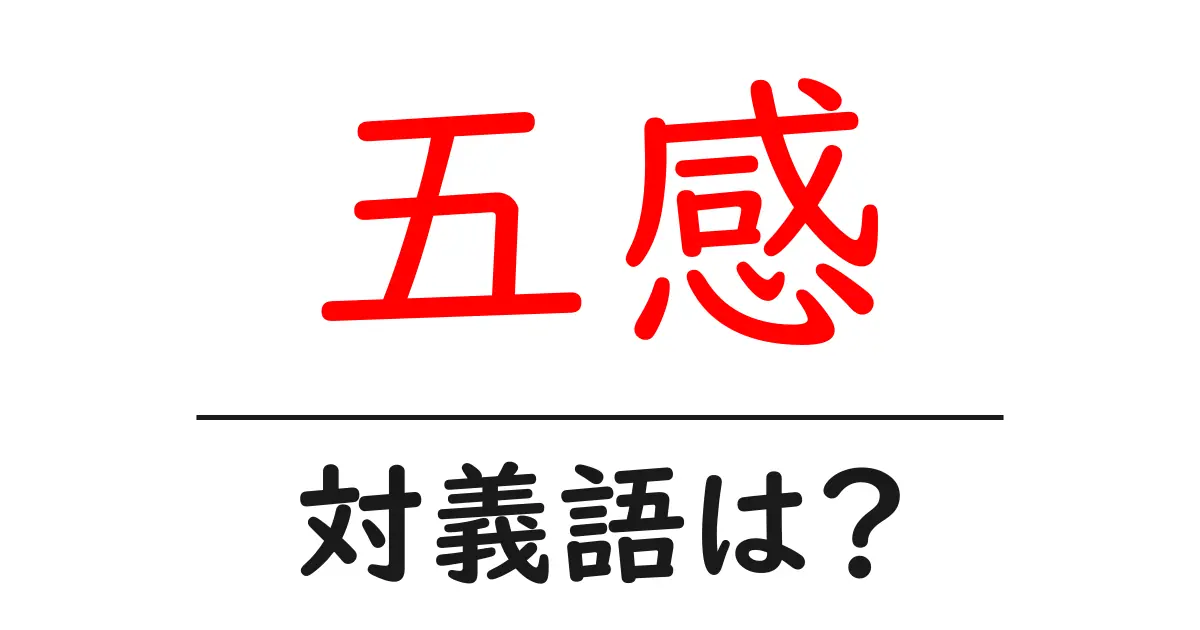 五感の対義語・反対語を使用例を交えて分かりやすく解説!