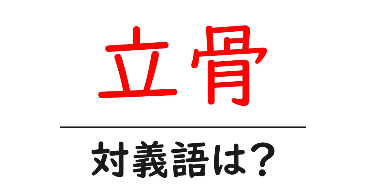 立骨の対義語・反対語を使用例を交えて分かりやすく解説!