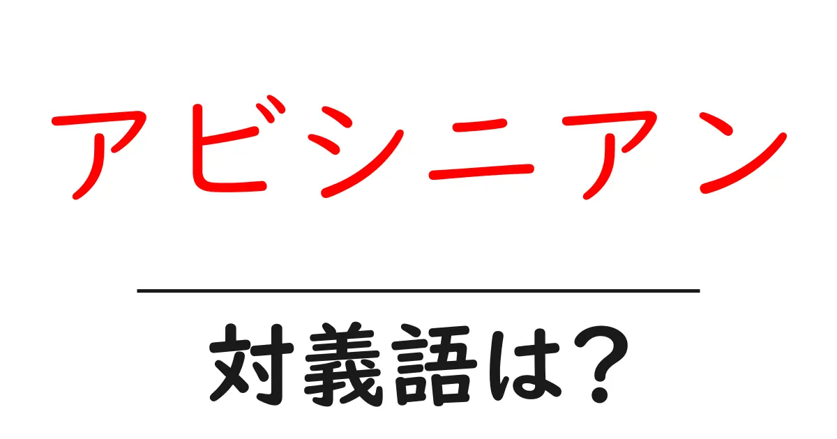 アビシニアンの対義語・反対語を使用例を交えて分かりやすく解説！