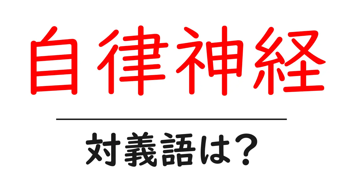 自律神経の対義語・反対語を使用例を交えて分かりやすく解説!