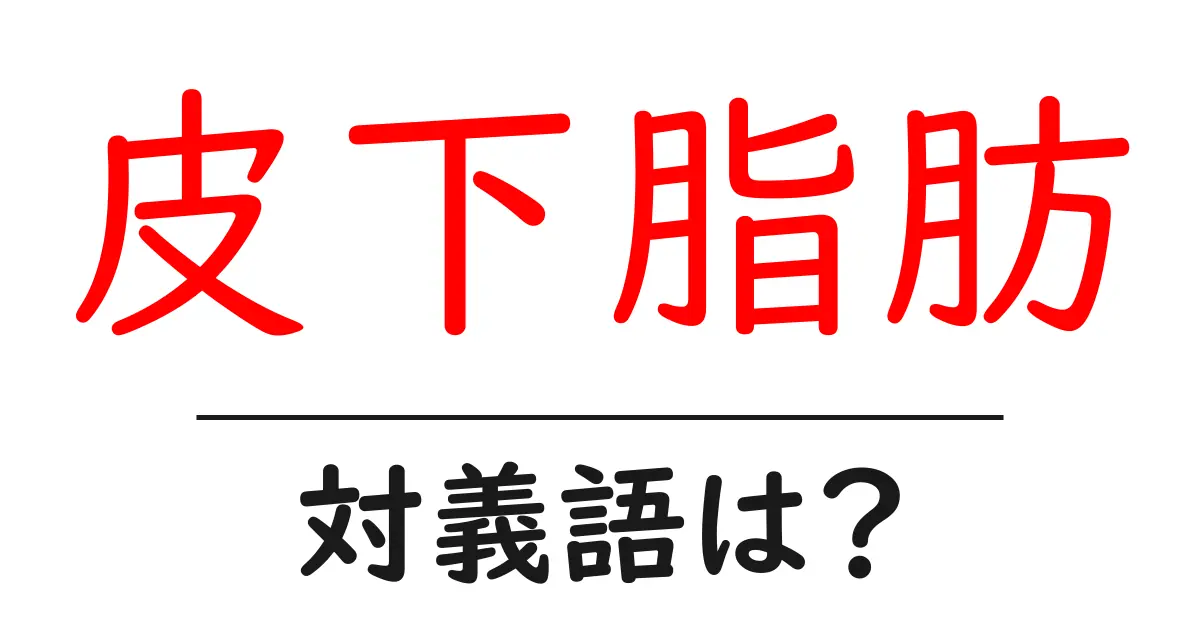 皮下脂肪の対義語・反対語を使用例を交えて分かりやすく解説!