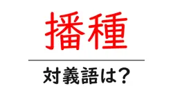 播種の対義語・反対語を使用例を交えて分かりやすく解説！