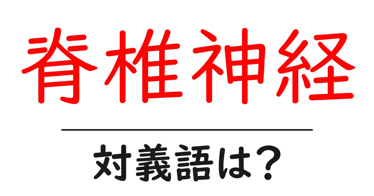脊椎神経の対義語・反対語を使用例を交えて分かりやすく解説!