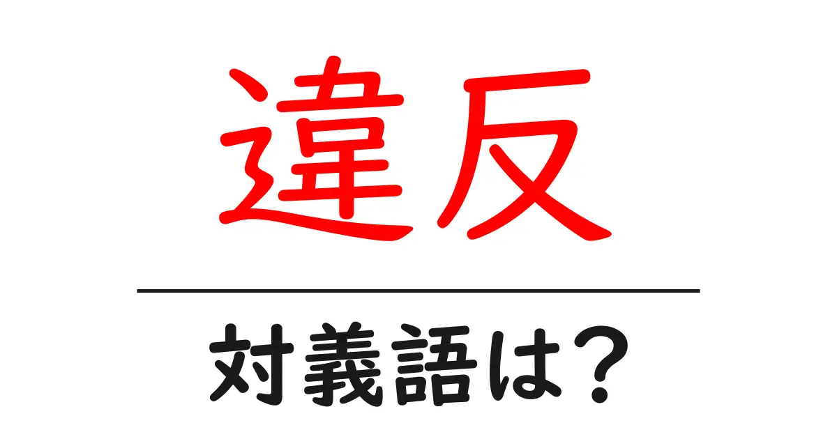 違反の対義語・反対語を使用例を交えて分かりやすく解説!