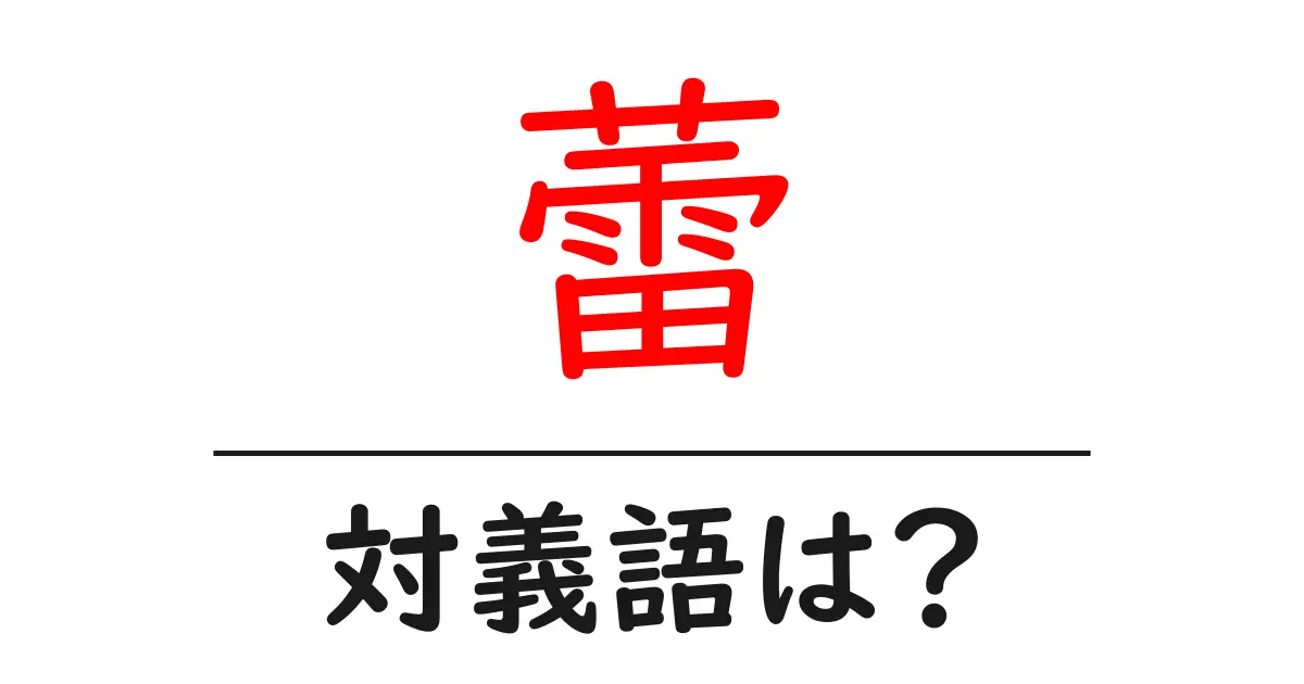 蕾の対義語・反対語を使用例を交えて分かりやすく解説！