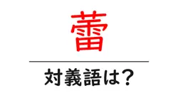 蕾の対義語・反対語を使用例を交えて分かりやすく解説！
