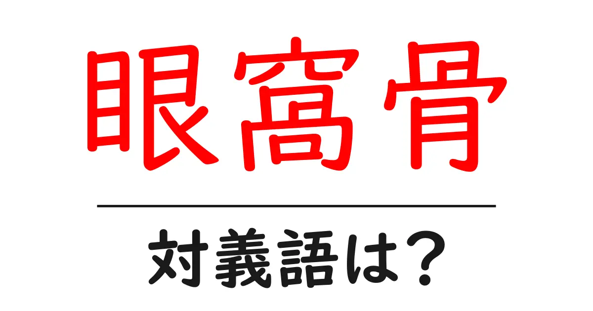 眼窩骨の対義語・反対語を使用例を交えて分かりやすく解説!