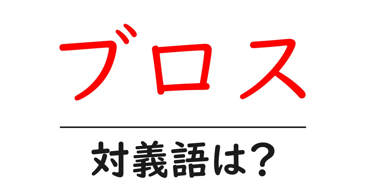 ブロスの対義語・反対語を使用例を交えて分かりやすく解説!