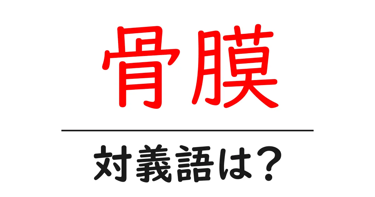 骨膜の対義語・反対語を使用例を交えて分かりやすく解説!