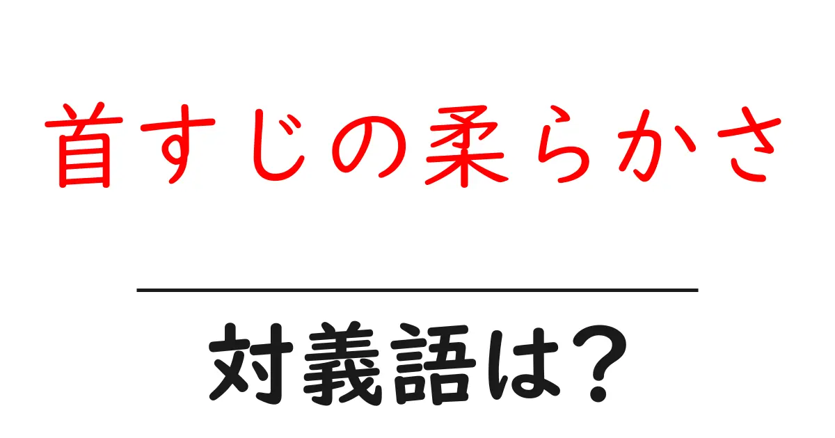 首すじの柔らかさの対義語・反対語を使用例を交えて分かりやすく解説!