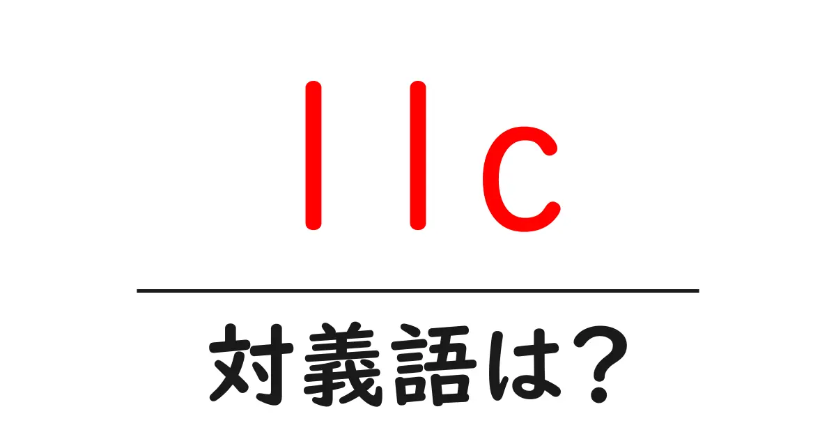 llcの対義語・反対語を使用例を交えて分かりやすく解説!