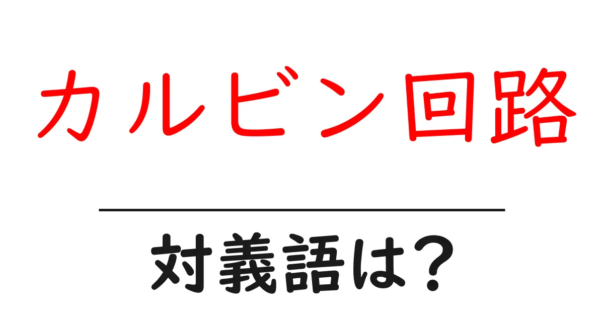 カルビン回路の対義語・反対語を使用例を交えて分かりやすく解説!