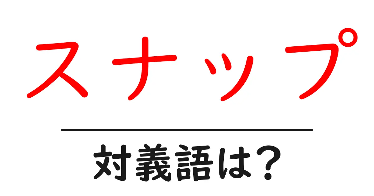 スナップの対義語・反対語を使用例を交えて分かりやすく解説!