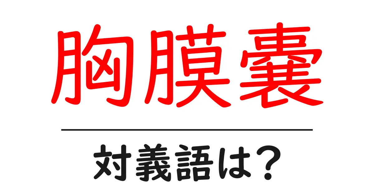 胸膜嚢の対義語・反対語を使用例を交えて分かりやすく解説!