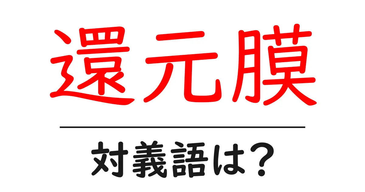 還元膜の対義語・反対語を使用例を交えて分かりやすく解説!