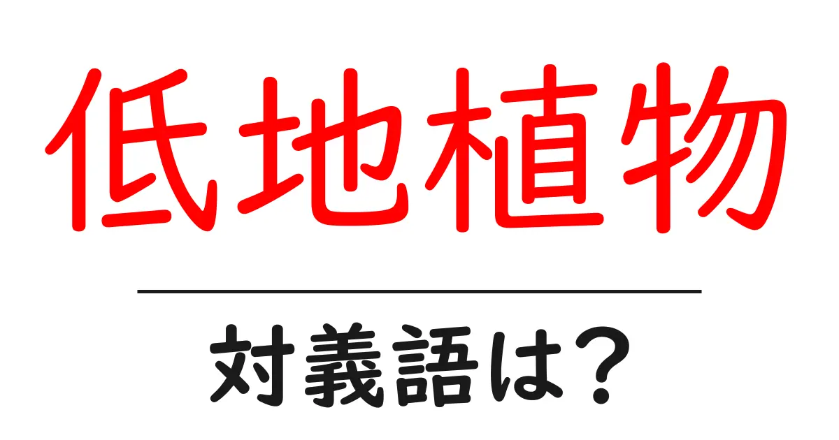 低地植物の対義語・反対語を使用例を交えて分かりやすく解説!