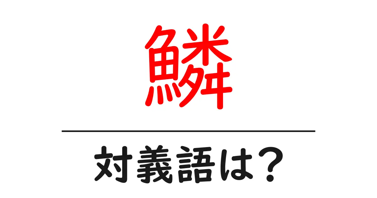 鱗の対義語・反対語を使用例を交えて分かりやすく解説!