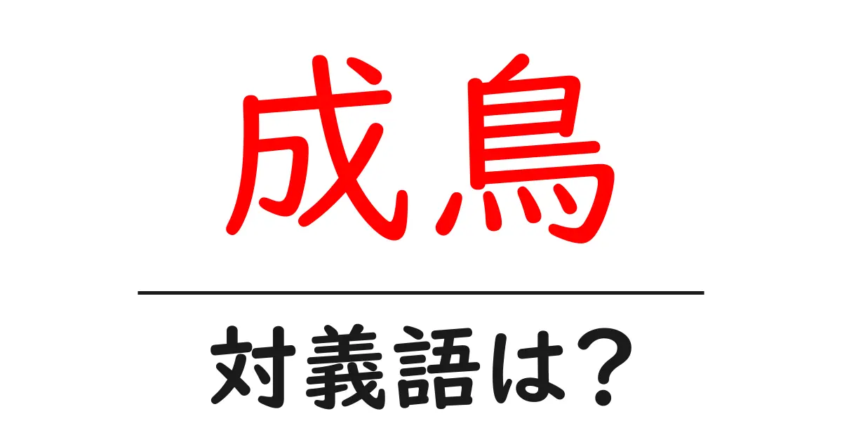 成鳥の対義語・反対語を使用例を交えて分かりやすく解説!