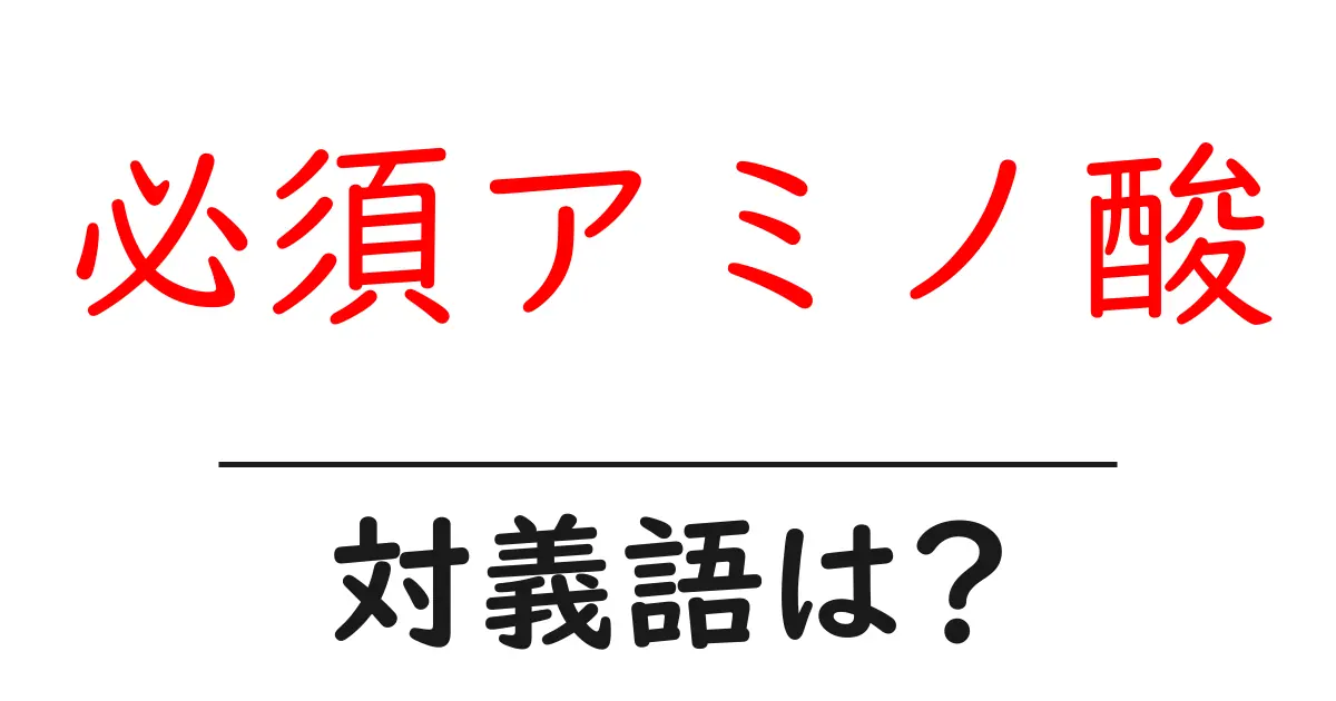 必須アミノ酸の対義語・反対語を使用例を交えて分かりやすく解説!