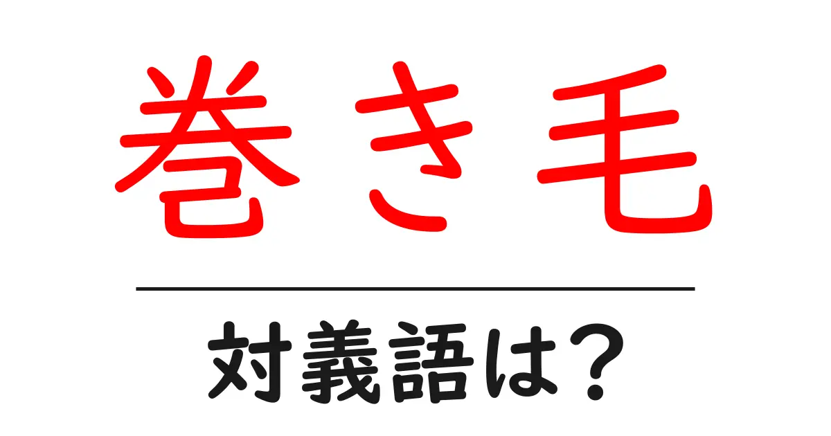 巻き毛の対義語・反対語を使用例を交えて分かりやすく解説!