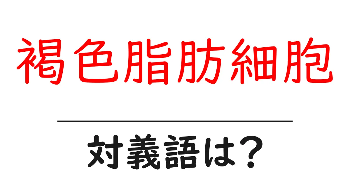 褐色脂肪細胞の対義語・反対語を使用例を交えて分かりやすく解説!