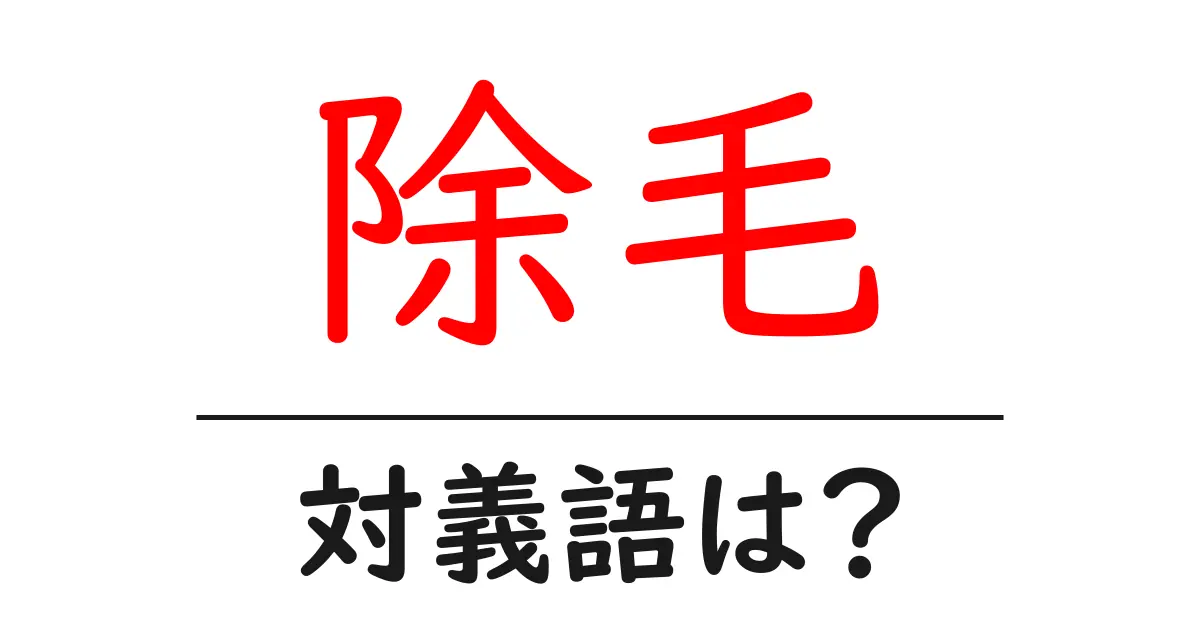 除毛の対義語・反対語を使用例を交えて分かりやすく解説!